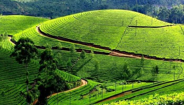 How To Reach Vagamon