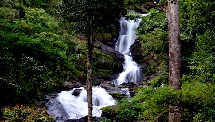 One of the most favored places to visit in Coorg in July is Iruppu Falls, a majestic waterfall.