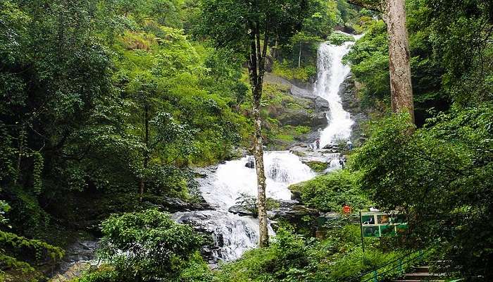 Iruppu Falls is one of the best places to visit in Coorg