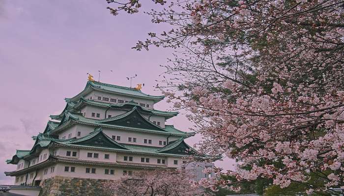 Japan In June