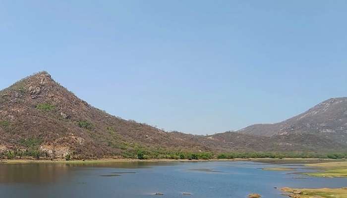 Jessore Sloth Bear Sanctuary- places to visit in Mount Abu