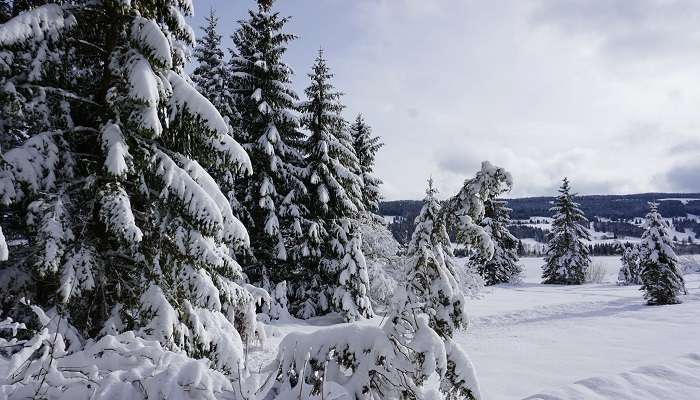 Jura Vaudois Nature Park