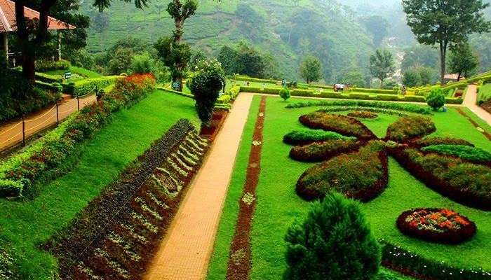  Kattery Park, among the places to visit in Coonoor