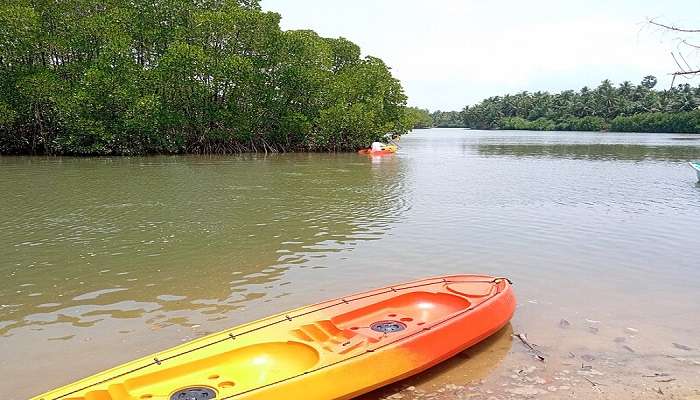 Do kayaking, one of the offbeat things to do in Goa.