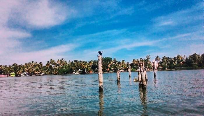 Kayamkulam Kayal is one of the highest rated places to visit in Kollam.