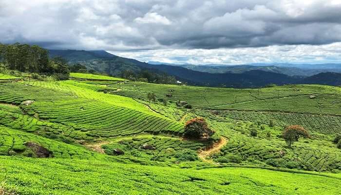 Kerala Group Tours: Enjoy A Memorable Trip Like Never Before