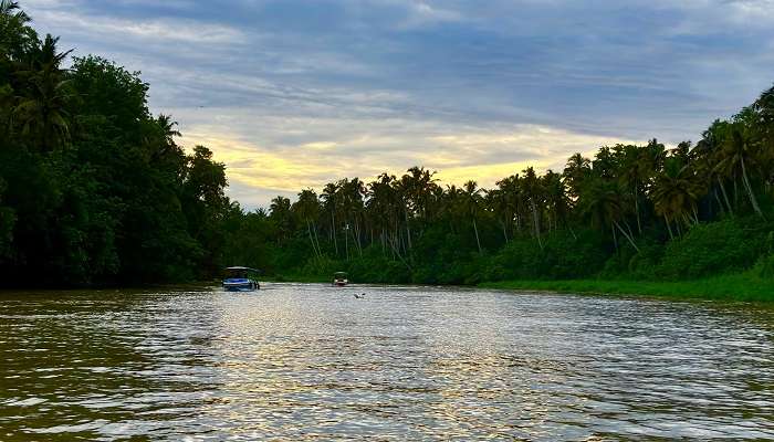 Kerala in March: Weather, Experiences & Travel Guide For a Perfect Spring Escape