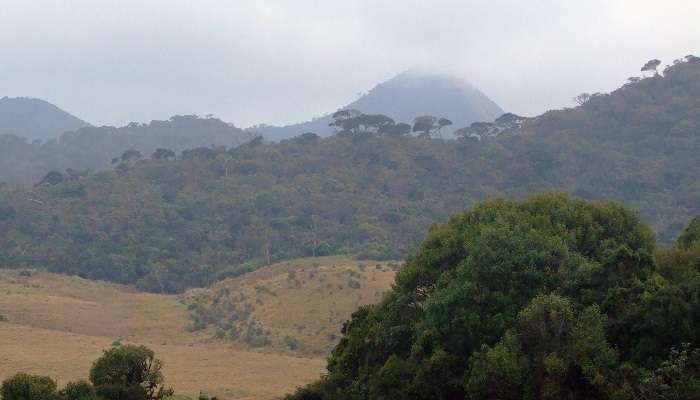 Kirigalpotta is one of the nuwara eliya famous places