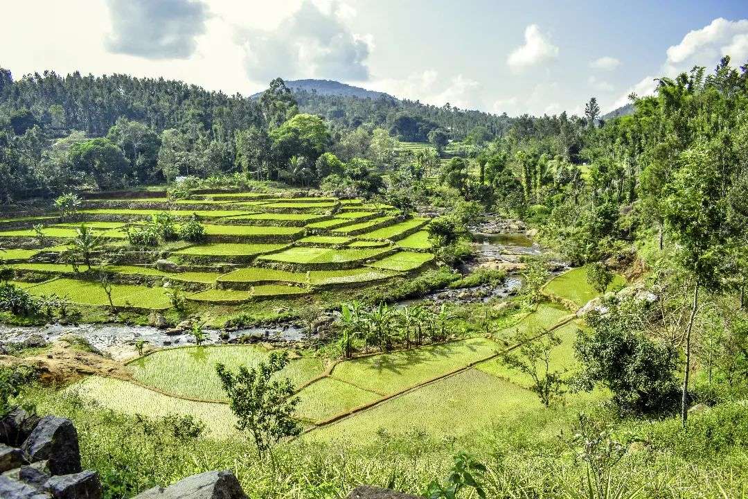  Kolli Hills