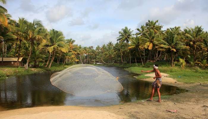 Enjoy Village Life, Visit Kumbalangi Integrated Tourism Village, one of the things to do in Kerala