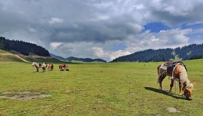 Kupwara, among the best places to visit in Kashmir.