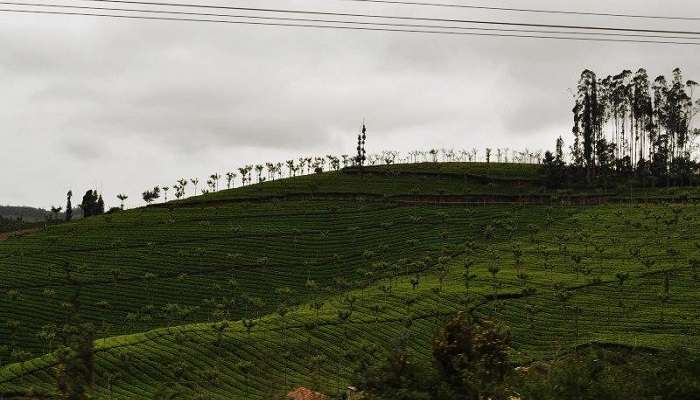  Lady Canning’s Seat, among the places to visit in Coonoor
