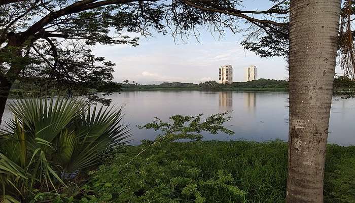 Hebbal Lake