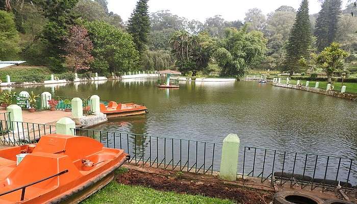 Have A Family Picnic in Sim's Park is one of the relaxing things to do in Coonoor