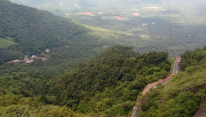 Visiting Lakkidi view point is among the best things to do in Wayanad