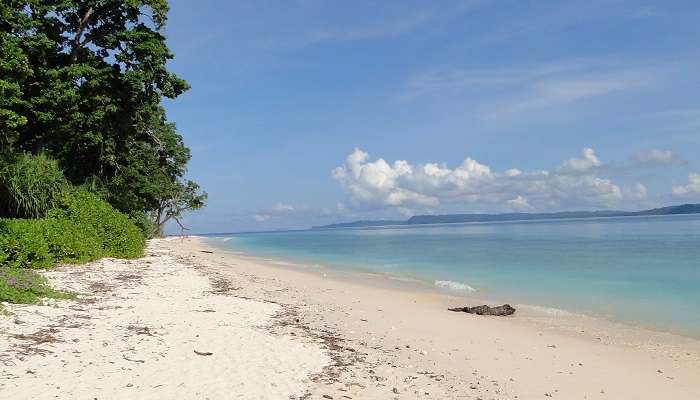 Beach Side View