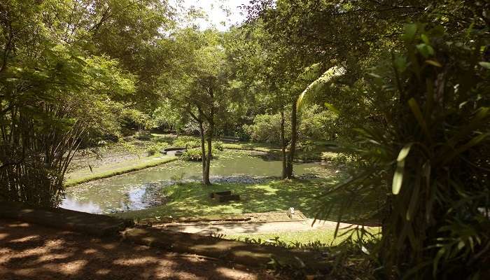 Lunuganga Garden is one of the best places to visit in Bentota 