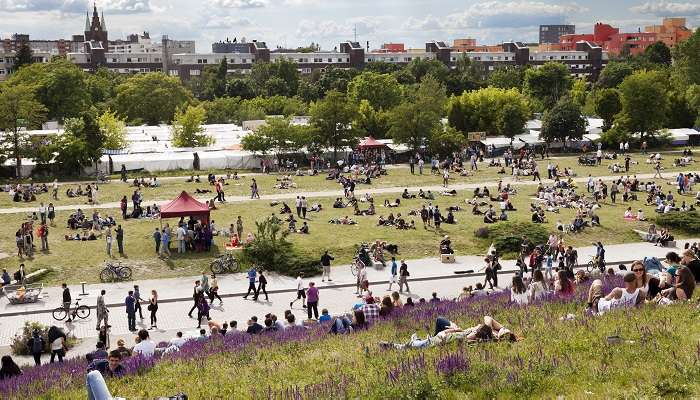 A dazzling view of Mauerpark