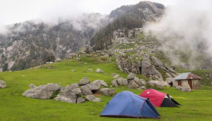 Indulge in camping while at McLeod Ganj to unleash the adventurer in you.