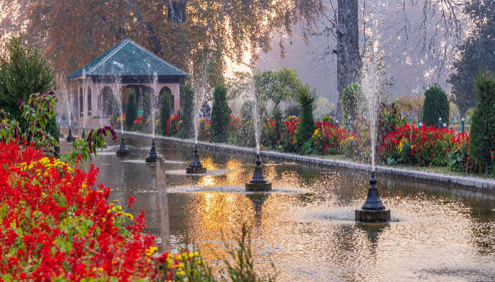 Astonishing view of Mughal Gardens, is one of the best things to do in Srinaagr
