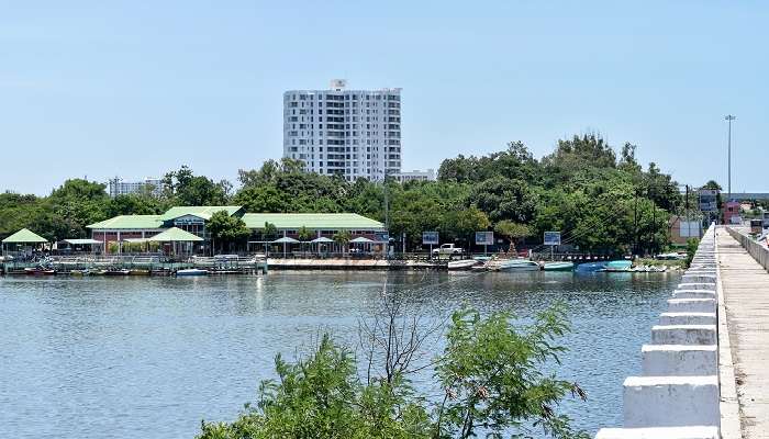 A glorious view of Muttukadu