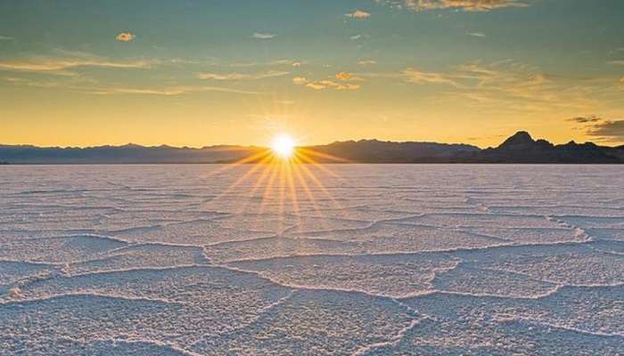 New Year At Rann Of Kutch