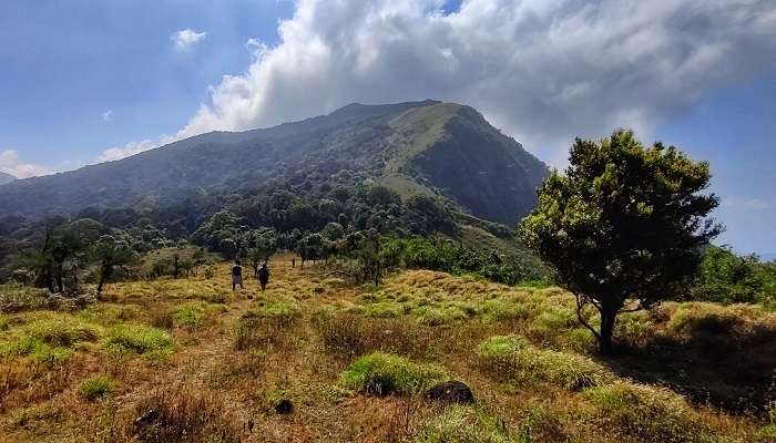 One of the best places to visit in Coorg in July is the Nishani Motte hills for trekking and camping.