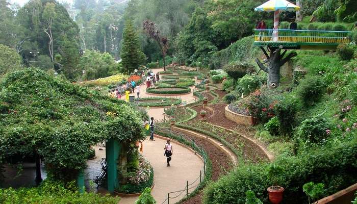 Ooty is one of the coziest & top honeymoon places in August in India