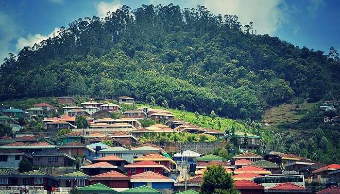 Ooty Resorts