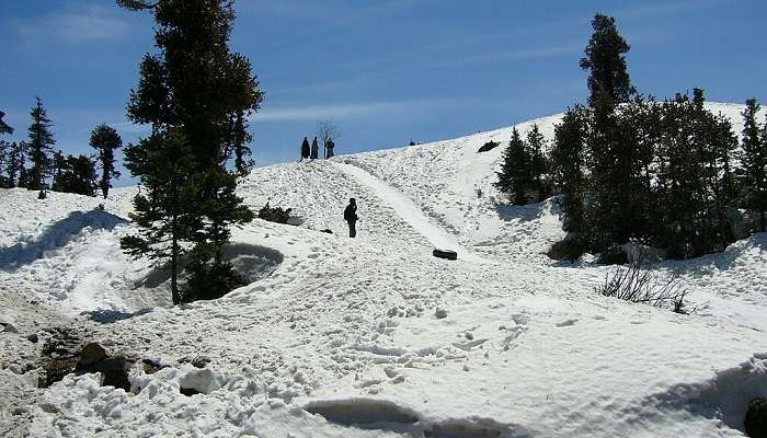 Ooty Vs Manali