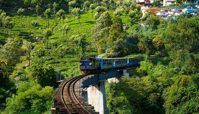 Ooty, among the great places to spend summer holidays in India.
