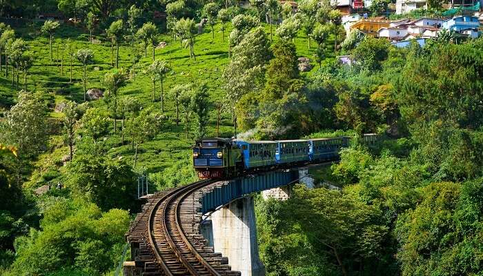 The breathtaking view of Ooty, among the best places to spend summer holidays in India