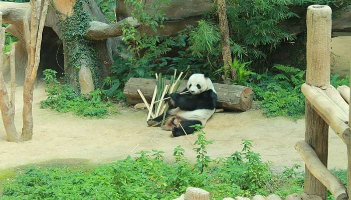 visit zoo negara