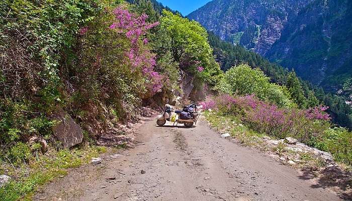 visit pangi valley 