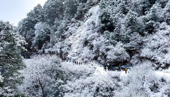 Pangot, places to visit in Uttarakhand in winter