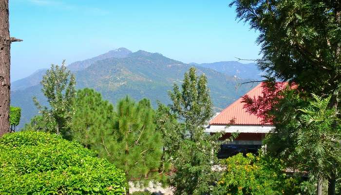 Lush green view of mounatin ranges at Parwanoo, one of the best places to visit in Himachal Pradesh.