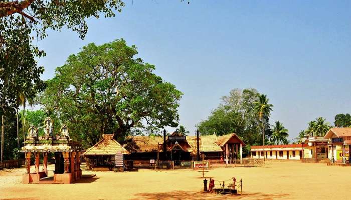 Bucolic surroundings of the Pattazhi temple, one of the top places to visit in Kollam.