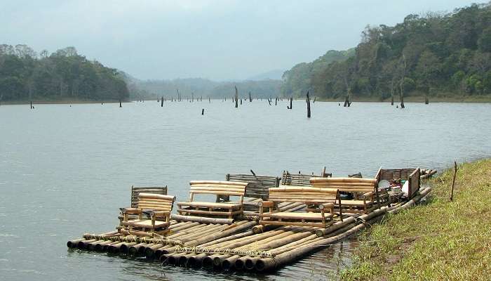 Visit Periyar Lake, one of the best things to do in Kerala