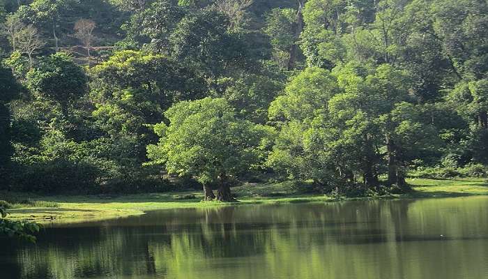 Virajpet Day Trip is one of the most relaxing things to do in Coorg