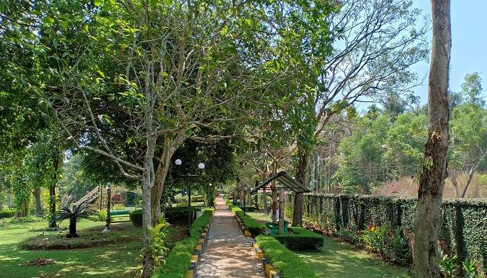 Enjoy lush greenery in Pilikula Botanical Garden is among the best things to do in Mangalore