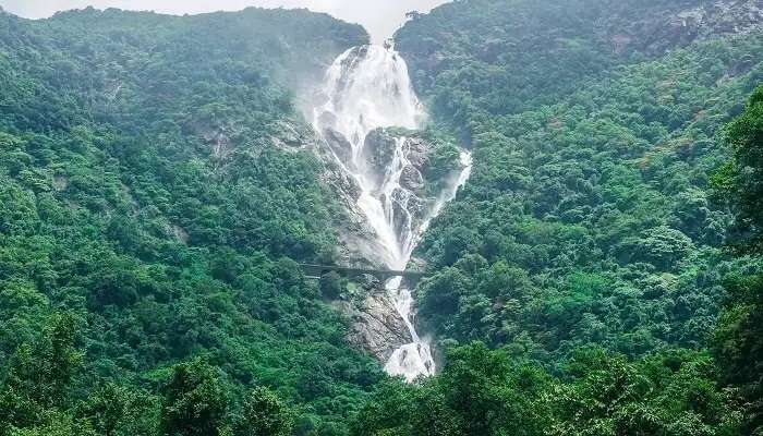 Profitez des cascades de Dudhsagar et des plantations d’épices