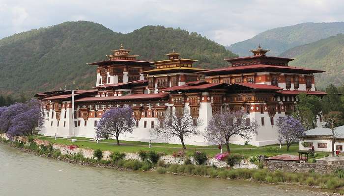 Dzong Fort- Tourist Places In Bhutan