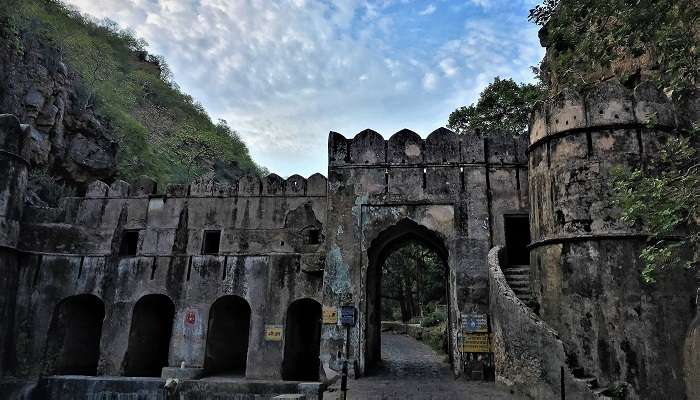 Ranthambore National Park, best places to visit near Jaipur