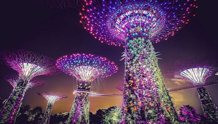 Restaurants Near Gardens By The Bay