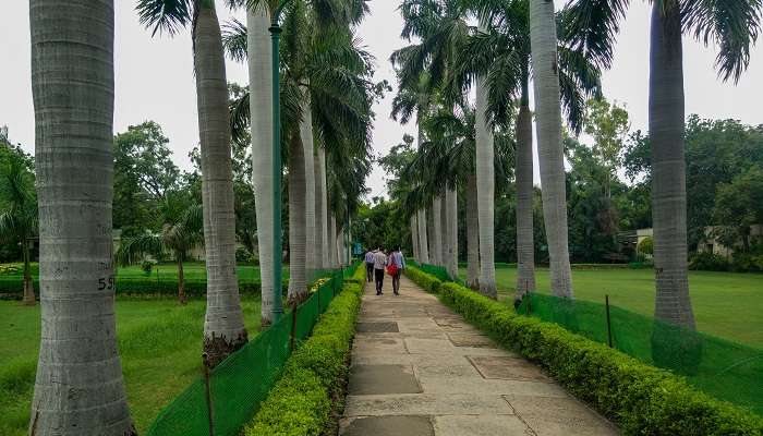 North Campus is the most romantic places in Delhi