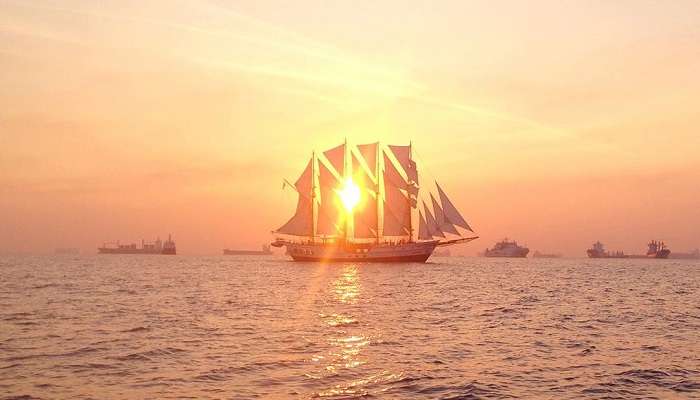 Royal Albatross Sunset Sail