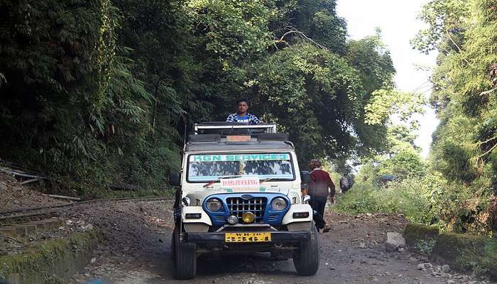 darjeeling adventure activities & tours