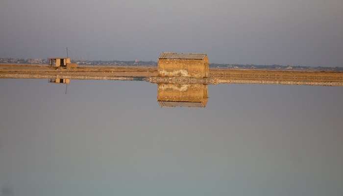 Sambhar Lake, one of the best places to visit near Jaipur