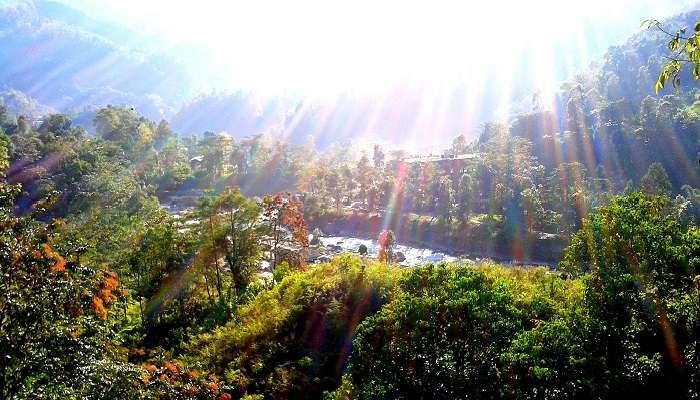 A gorgeous view of Saramsa Garden, one of the best places to visit in Sikkim