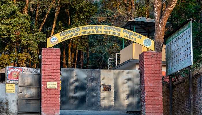 A thrilling view of Nagarjun National Park